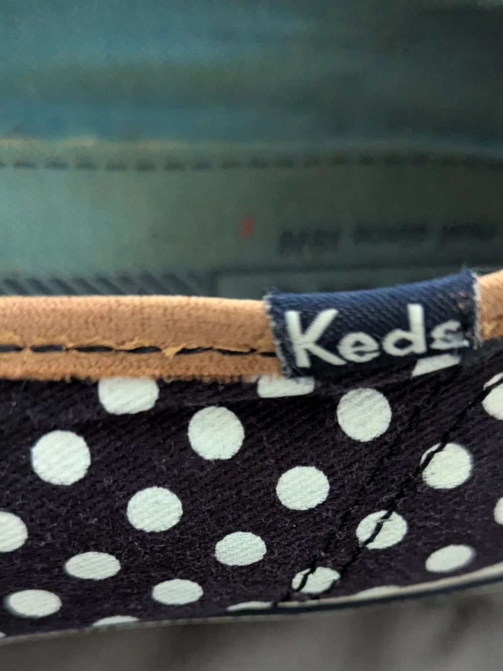 Keds Women's Navy Polka Dot Canvas Sneakers